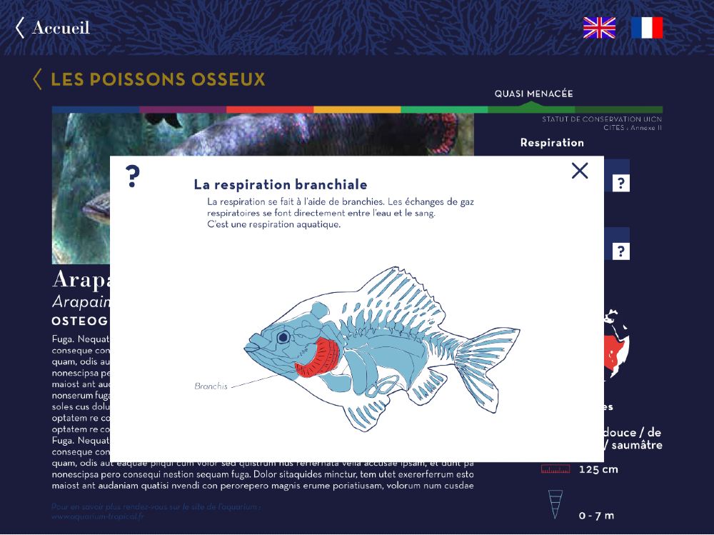 Maquette de l'application réalisée pour l'aquarium tropical de Paris