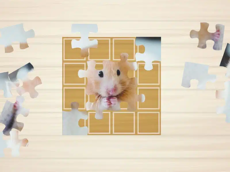 Écran gaming pour le CHU de Toulouse