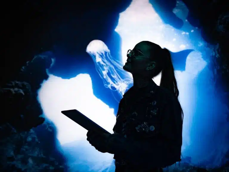 Arcadia Earth expérience immersive outils numériques