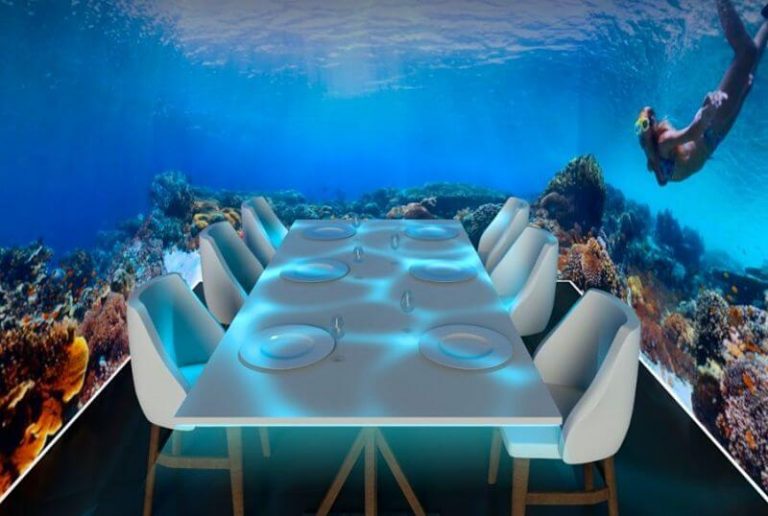 Le restaurant du futur : une expérience immersive des 5 sens