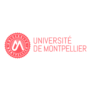 Digitalisation université de Montpellier
