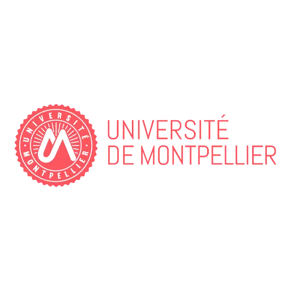 Digitalisation université de Montpellier
