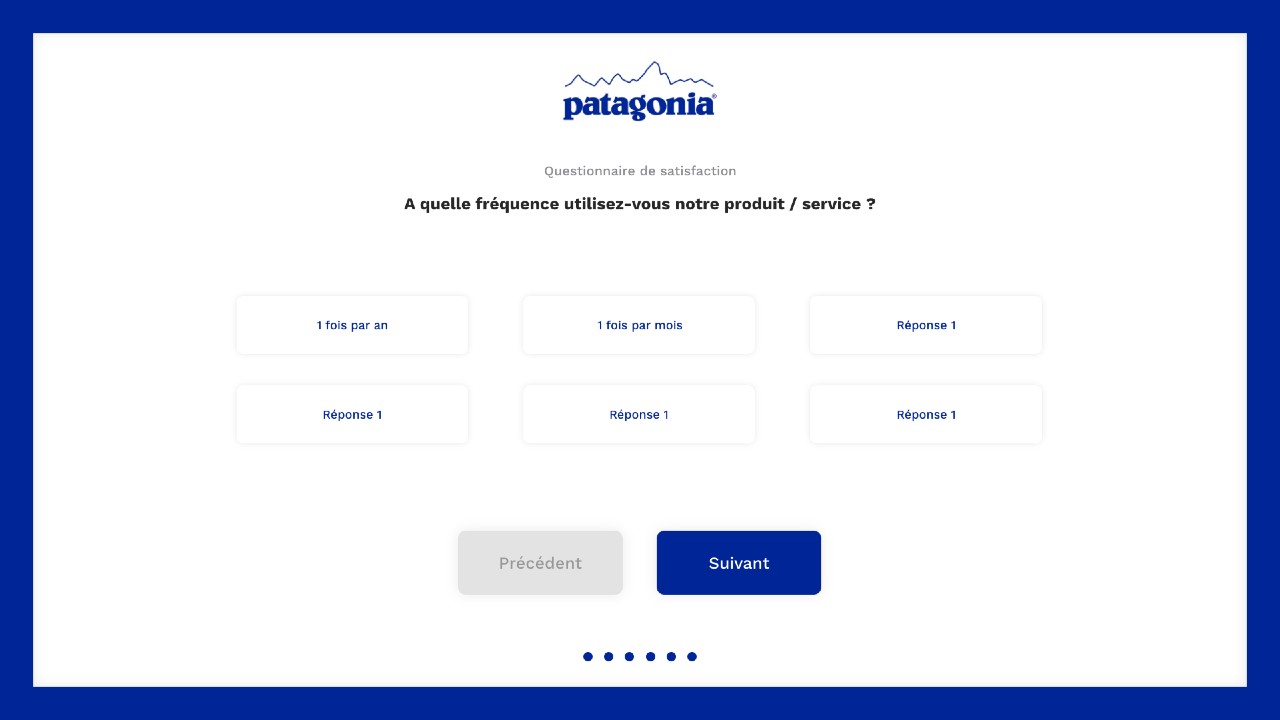 Exemple 2 Patagonia : Multiples réponses