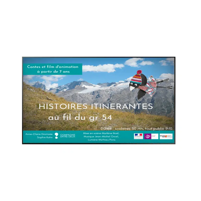 Moniteur d'affichage 43 pouces