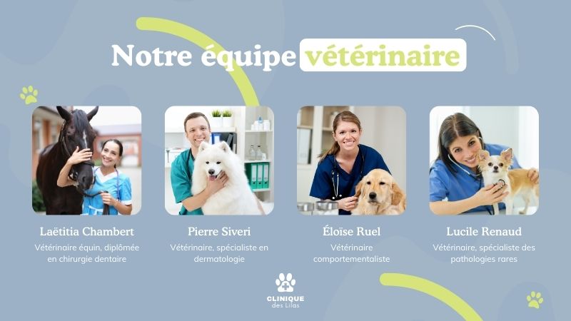 Exemple de campagne d'affichage dynamique dans une clinique vétérinaire