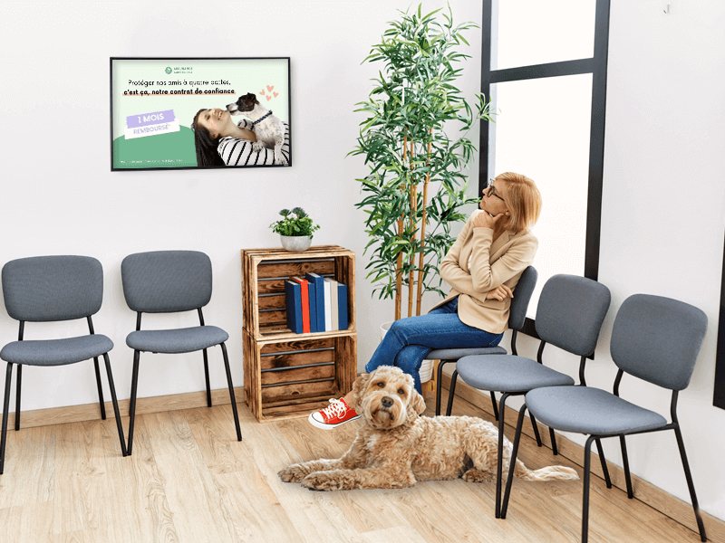 Écran d'affichage dynamique dans une clinique vétérinaire