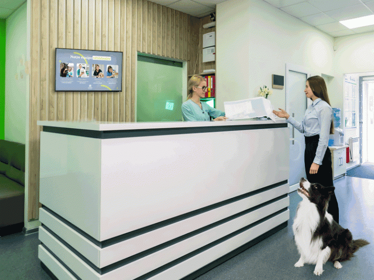 Affichage dynamique dans une clinique vétérinaire