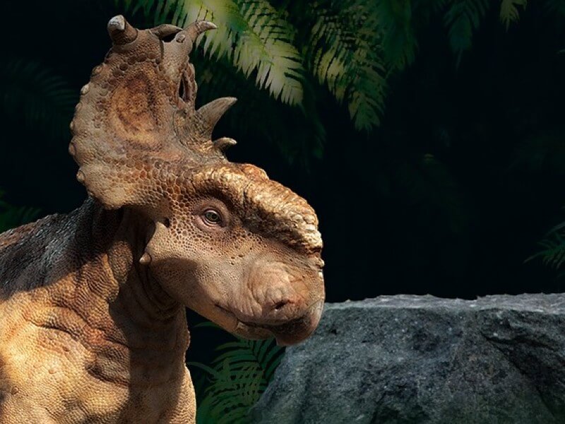 Dinosaure pour l'étude de cas Paleopolis