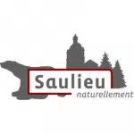 Projet Micro-folies : Ville de Saulieu