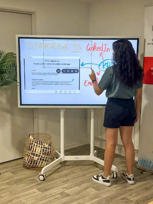Écran Interactif Samsung Flip