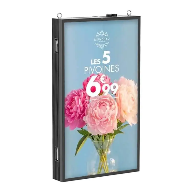 écran extérieur plus affichage dynamique 65 pouces
